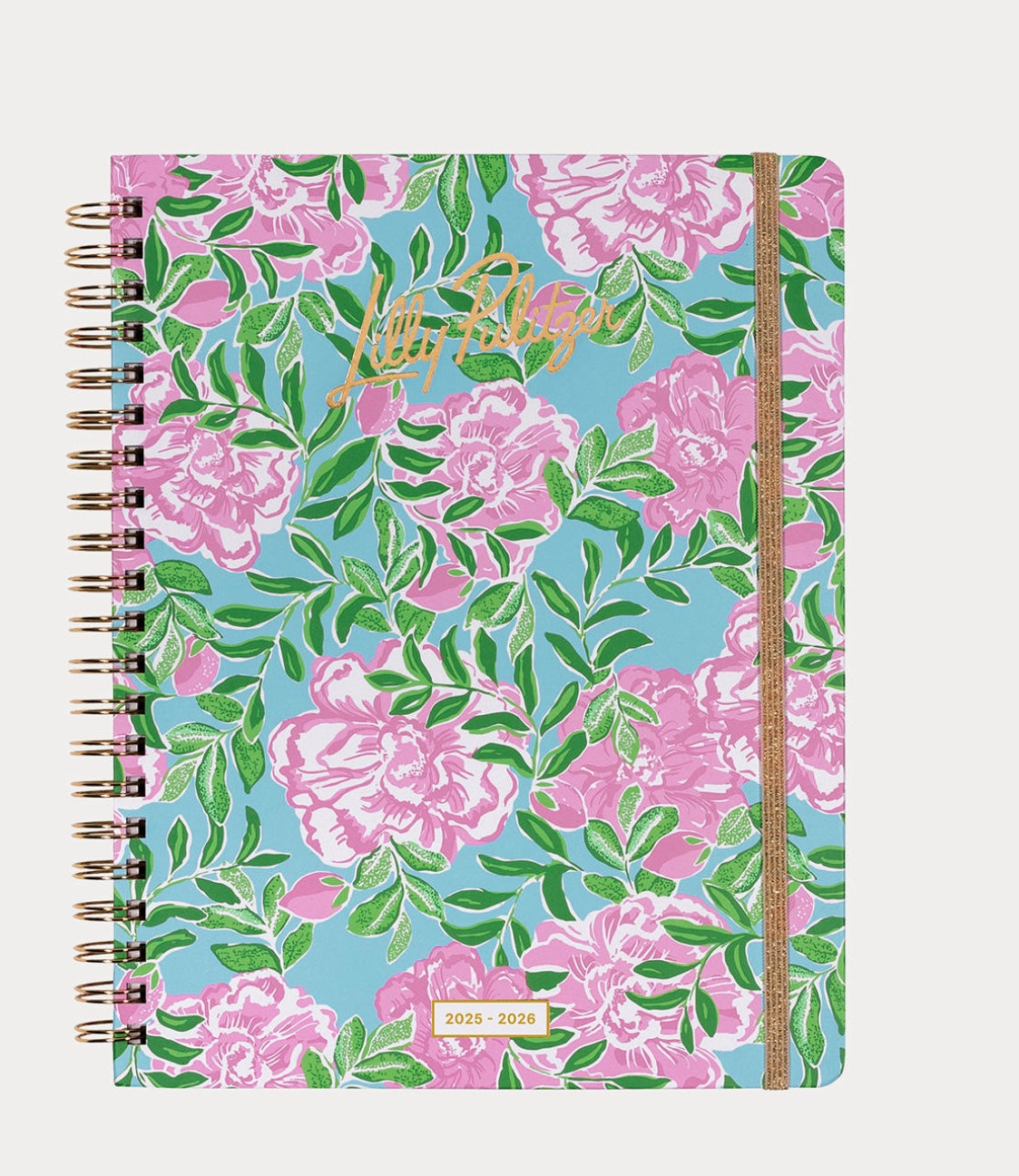 Jumbo 17 Month Agenda