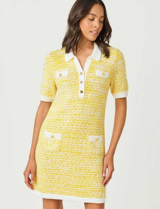 Theodorah Polo Sweater Dress